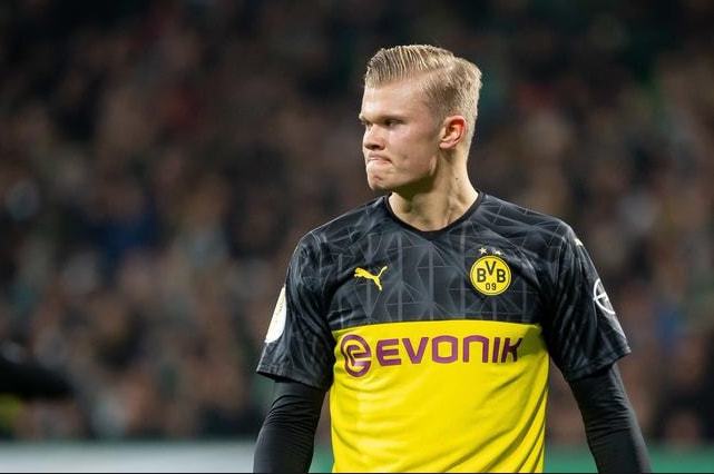 央视新闻客 央视新闻客