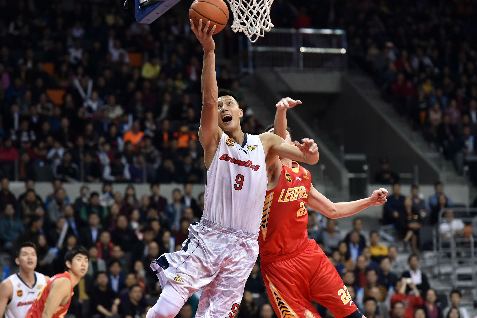 竟是如何展 竟是如何展