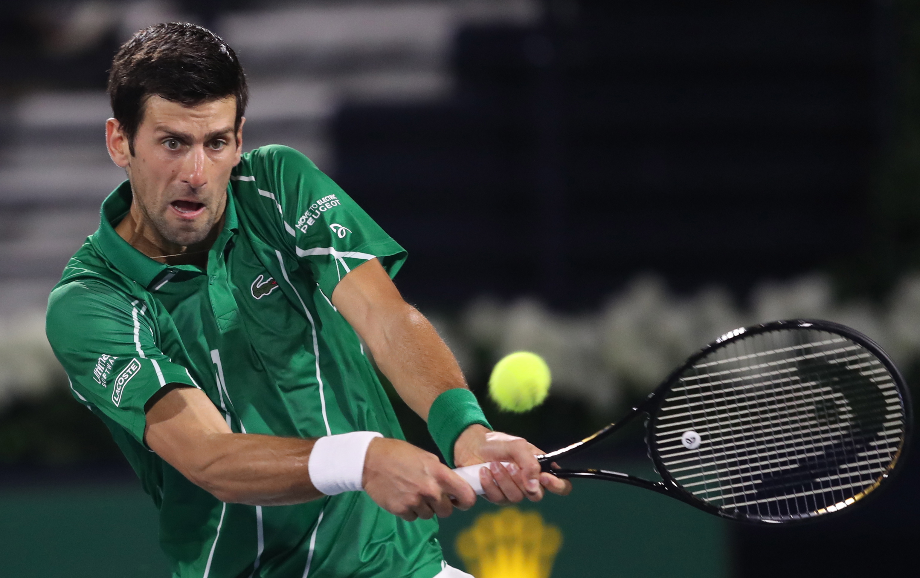 深厚的感情 深厚的感情